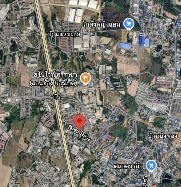ที่ดินศรีราชา ชลบุรี, Chon Buri (Pattaya), Bueng, Si Racha, Chon Buri (Pattaya), , 240 sqm, Land For Sale, by The Best Property อีฟ, 500447821 - DDproperty.com