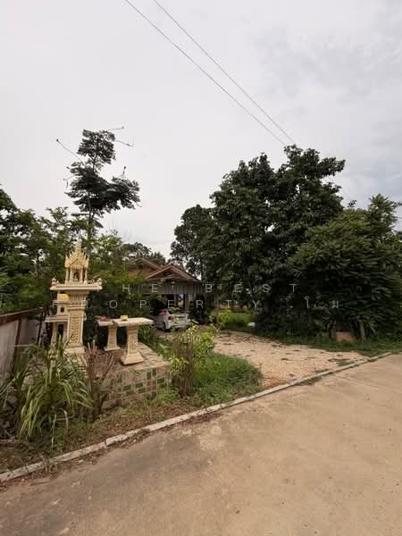 บ้านเดี่ยวแปลงยาว ฉะเชิงเทรา, ฉะเชิงเทรา, แปลงยาว, ฉะเชิงเทรา, 150 ตร.ม., บ้านเดี่ยว ขาย, โดย The Best Property โม, 500447878 - DDproperty.com