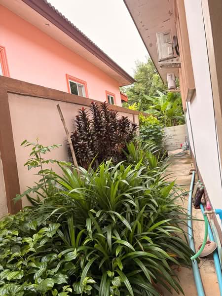 บ้านเดี่ยวแปลงยาว ฉะเชิงเทรา, Chachoengsao, Plaeng Yao, Chachoengsao, 2 Bedrooms, 150 sqm, Single Detached House For Sale, by The Best Property โม, 500447878 - DDproperty.com