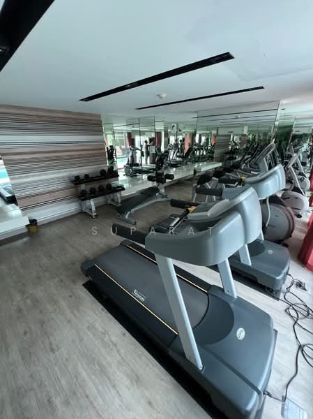 Maestro 39, Bangkok, Sukhumvit Road, Khlong Tan Nua, Watthana, Bangkok, 1 Bedroom, 30 sqm, Condo For Rent, by suparat, 500447901 - DDproperty.com