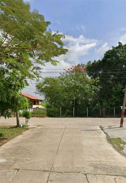 บ้านเจริญลาภ4 (Baan Charoenlap 4), Pathum Thani, ถนนคลองหลวง (คลอง 4), Khlong Si, Khlong Luang, Pathum Thani, , 720 sqm, Land For Sale, by คุณ วิมล เรืองไตรรัตน์ (มนต์), 500447913 - DDproperty.com