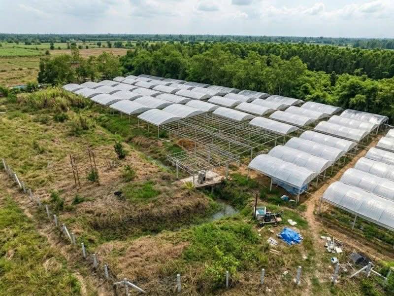 ที่ดินพร้อมสิ่งปลูกสร้าง 4-0-69.6 ไร่ ไทรน้อย, Nonthaburi, บ้านกล้วย-ไทรน้อย, Nong Prao Ngai, Sai Noi, Nonthaburi, , 6,676 sqm, Land For Sale, by คุณ กรรณิการ์ ( เอ๋ ), 500447939 - DDproperty.com