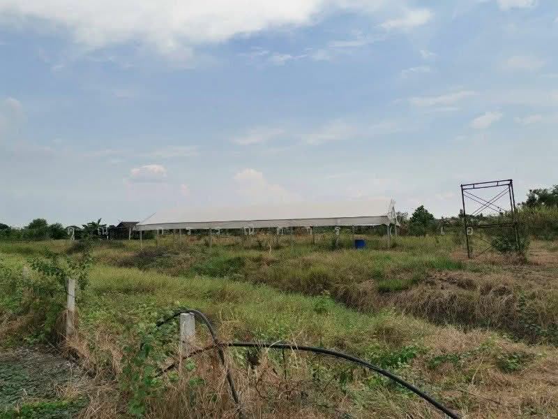 ที่ดินพร้อมสิ่งปลูกสร้าง 4-0-69.6 ไร่ ไทรน้อย, Nonthaburi, บ้านกล้วย-ไทรน้อย, Nong Prao Ngai, Sai Noi, Nonthaburi, , 6,676 sqm, Land For Sale, by คุณ กรรณิการ์ ( เอ๋ ), 500447939 - DDproperty.com