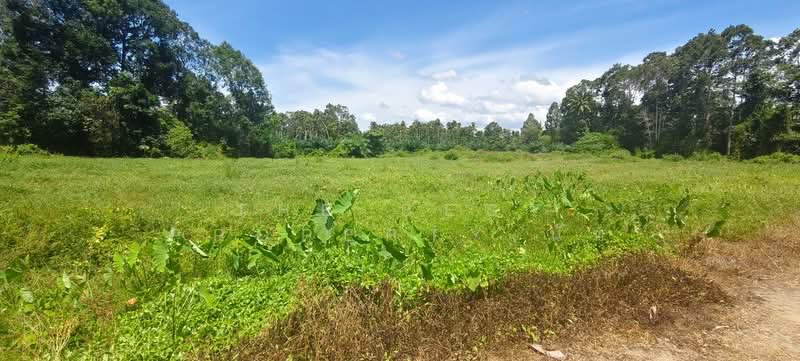 ที่ดินเชียรใหญ่ นครศรีธรรมราช, Nakhon Si Thammarat, Mae Chao Yu Hua, Chian Yai, Nakhon Si Thammarat, , 7,917 sqm, Land For Sale, by The Best Property นัท, 500447940 - DDproperty.com