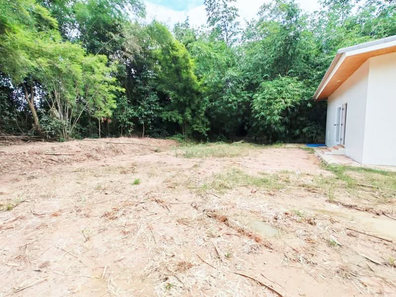 ที่ดินพร้อมสิ่งปลูกสร้างพนมสารคาม ฉะเชิงเทรา, Chachoengsao, Ko Khanun, Phanom Sarakham, Chachoengsao, , 800 sqm, Land For Sale, by The Best Property ณท, 500447944 - DDproperty.com