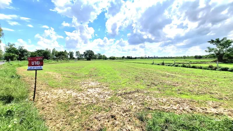 ที่ดินธวัชบุรี ร้อยเอ็ด, ร้อยเอ็ด, หนองไผ่, ธวัชบุรี, ร้อยเอ็ด, 3,840 ตร.ม., ที่ดิน ขาย, โดย The Best Property ทองใบ, 500447950 - DDproperty.com