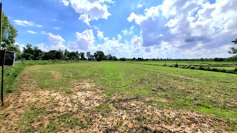 ที่ดินธวัชบุรี ร้อยเอ็ด, Roi Et, Nong Phai, Thawat Buri, Roi Et, , 3,840 sqm, Land For Sale, by The Best Property ทองใบ, 500447950 - DDproperty.com