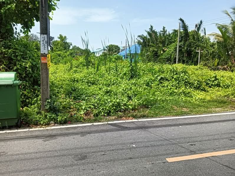 ที่ดินบางโปรง สมุทรปราการ, Samut Prakan, Bang Prong, Muang Samut Prakarn, Samut Prakan, , 3,501 sqm, Land For Sale, by The Best Property ตาล, 500447960 - DDproperty.com