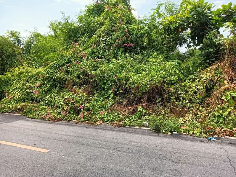 ที่ดินบางโปรง สมุทรปราการ, Samut Prakan, Bang Prong, Muang Samut Prakarn, Samut Prakan, , 3,501 sqm, Land For Sale, by The Best Property ตาล, 500447960 - DDproperty.com