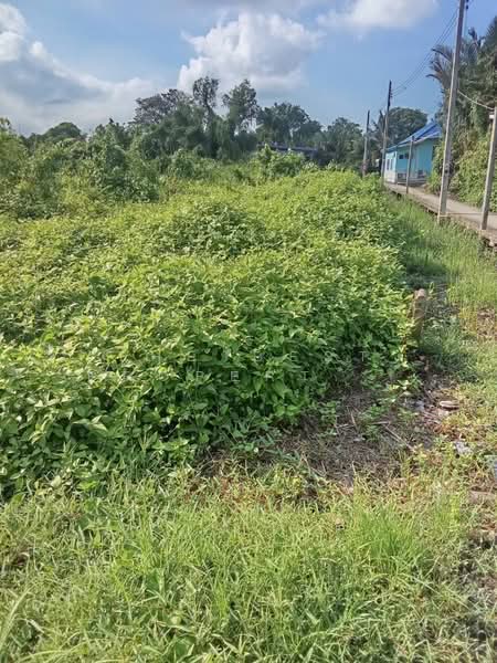 ที่ดินบางโปรง สมุทรปราการ, Samut Prakan, Bang Prong, Muang Samut Prakarn, Samut Prakan, , 3,501 sqm, Land For Sale, by The Best Property ตาล, 500447960 - DDproperty.com