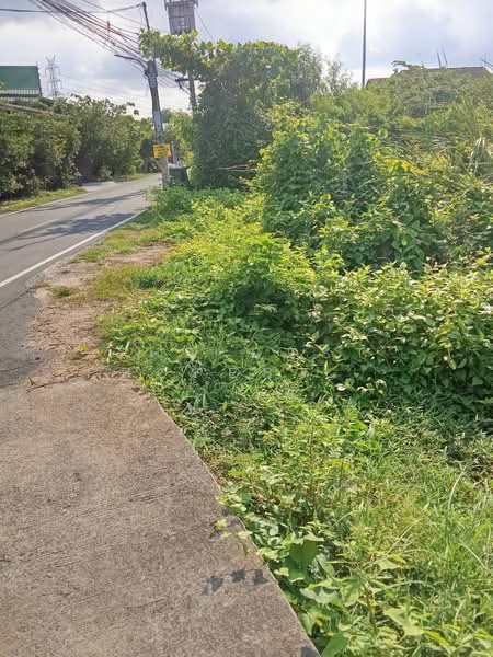 ที่ดินบางโปรง สมุทรปราการ, Samut Prakan, Bang Prong, Muang Samut Prakarn, Samut Prakan, , 3,501 sqm, Land For Sale, by The Best Property ตาล, 500447960 - DDproperty.com