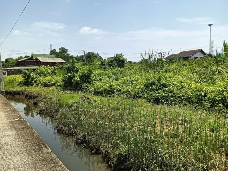 ที่ดินบางโปรง สมุทรปราการ, Samut Prakan, Bang Prong, Muang Samut Prakarn, Samut Prakan, , 3,501 sqm, Land For Sale, by The Best Property ตาล, 500447960 - DDproperty.com