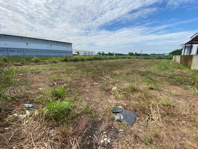 ที่ดินแปลงสวย 50 ตรว. ใกล้ ม.พิบูล, พิษณุโลก, บ้านคลอง, เมืองพิษณุโลก, พิษณุโลก, 200 ตร.ม., ที่ดิน ขาย, โดย ERA Thailand, 500448035 - DDproperty.com