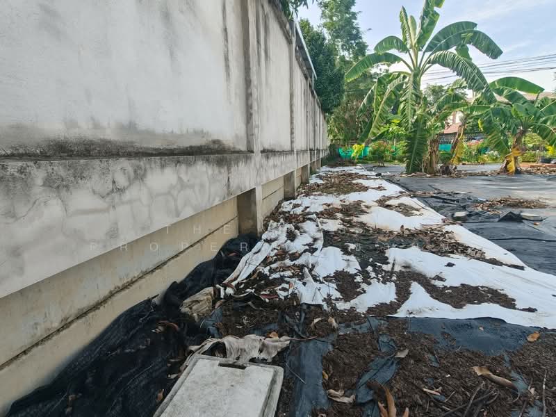 ที่ดินโสธร ฉะเชิงเทรา, Chachoengsao, Sothon, Muang Chachoengsao, Chachoengsao, , 400 sqm, Land For Sale, by The Best Property ซายน์, 500448059 - DDproperty.com