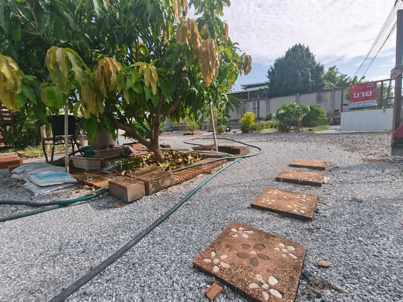 ที่ดินโสธร ฉะเชิงเทรา, Chachoengsao, Sothon, Muang Chachoengsao, Chachoengsao, , 400 sqm, Land For Sale, by The Best Property ซายน์, 500448059 - DDproperty.com