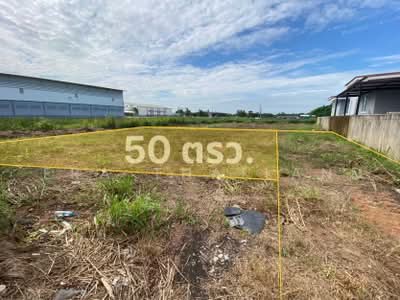 ขาย - ที่ดินแปลงสวย 50 ตรว. ใกล้แยกวุ่นวาย, พิษณุโลก