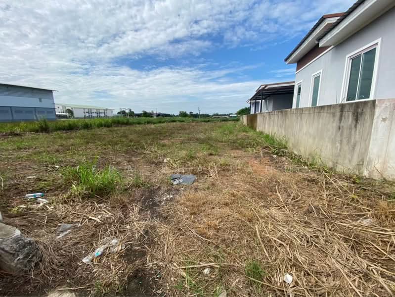 ที่ดินแปลงสวย 62.1 ตรว. ใกล้แยกวุ่นวาย, Phitsanulok, Ban Khlong, Muang Phitsanulok, Phitsanulok, , 248 sqm, Land For Sale, by ERA Thailand, 500448071 - DDproperty.com