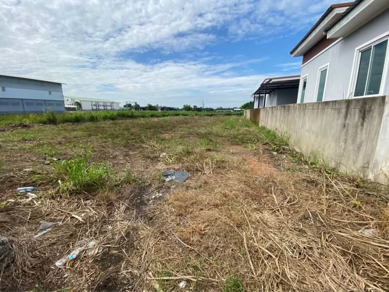 ที่ดินแปลงสวย 62.1 ตรว. ใกล้แยกวุ่นวาย, พิษณุโลก, บ้านคลอง, เมืองพิษณุโลก, พิษณุโลก, 248 ตร.ม., ที่ดิน ขาย, โดย ERA Thailand, 500448071 - DDproperty.com