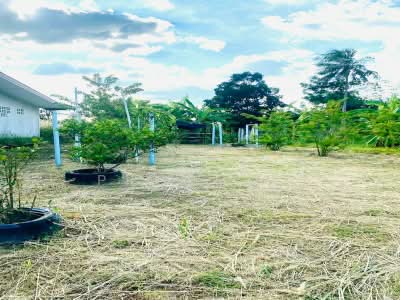 ขาย - ที่ดินแปลงสวย หนองขาม ศรีราชา, ชลบุรี