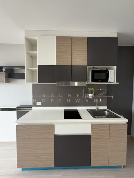 Plus Condo Hatyai 30m, Songkhla, No. 9 Rajyindee Rd, Hat-Yai, Hat Yai, Songkhla, 1 Bedroom, 34 sqm, Condo For Sale, by Rachen Nopsuwan, 500448256 - DDproperty.com