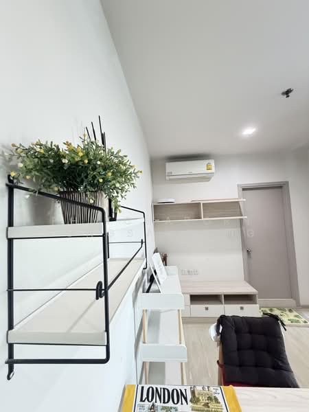 Life Sukhumvit 48 : ไลฟ์ สุขุมวิท 48, กรุงเทพ, ซอยสุขุมวิท 48, พระโขนง, คลองเตย, กรุงเทพ, 45 ตร.ม., คอนโด ให้เช่า, โดย Phitchaporn Kongsamrong, 500448319 - DDproperty.com