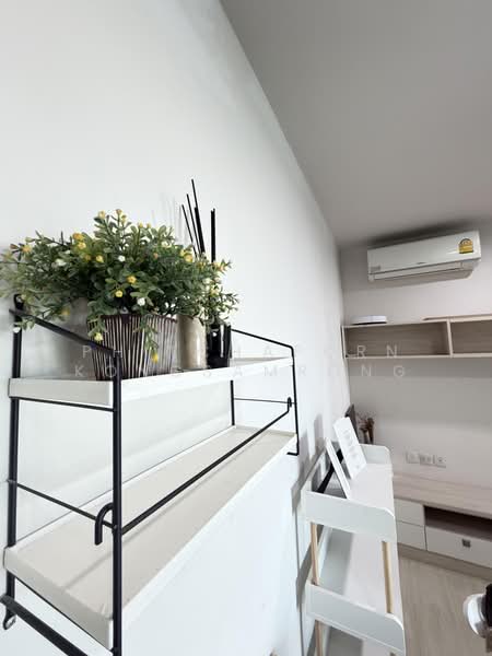Life Sukhumvit 48, Bangkok, Soi Sukhumvit 48, Phra Kanong, Khlong Toei, Bangkok, 1 Bedroom, 45 sqm, Condo For Rent, by Phitchaporn Kongsamrong, 500448319 - DDproperty.com