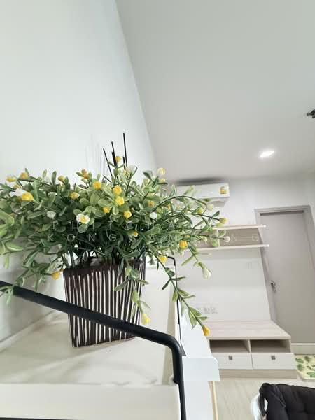 Life Sukhumvit 48 : ไลฟ์ สุขุมวิท 48, กรุงเทพ, ซอยสุขุมวิท 48, พระโขนง, คลองเตย, กรุงเทพ, 45 ตร.ม., คอนโด ให้เช่า, โดย Phitchaporn Kongsamrong, 500448319 - DDproperty.com