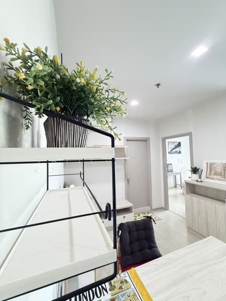Life Sukhumvit 48 : ไลฟ์ สุขุมวิท 48, กรุงเทพ, ซอยสุขุมวิท 48, พระโขนง, คลองเตย, กรุงเทพ, 45 ตร.ม., คอนโด ให้เช่า, โดย Phitchaporn Kongsamrong, 500448319 - DDproperty.com