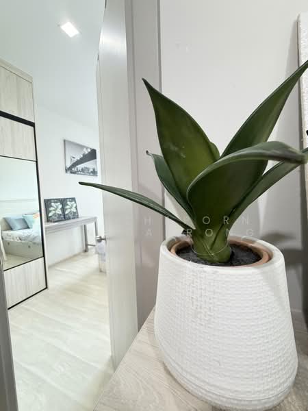 Life Sukhumvit 48, Bangkok, Soi Sukhumvit 48, Phra Kanong, Khlong Toei, Bangkok, 1 Bedroom, 45 sqm, Condo For Rent, by Phitchaporn Kongsamrong, 500448319 - DDproperty.com