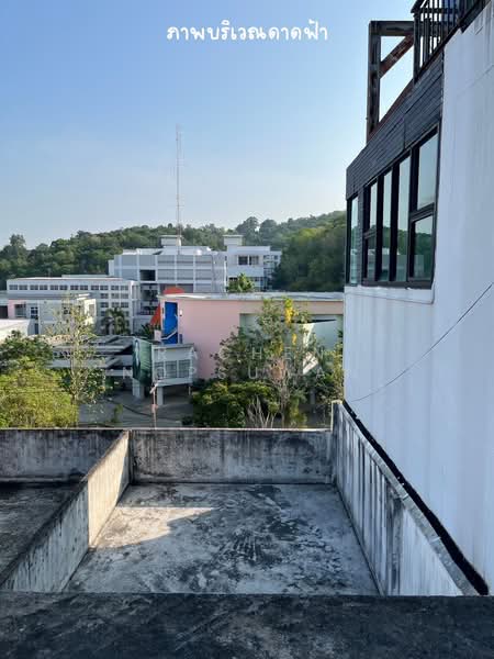 Commercial building for sale, opposite Prince of Songkla University Wittayanusorn Campus, Punkan Roa, Songkhla, Kho Hong, Hat Yai, Songkhla, 6 Bedrooms, 80 sqm, Townhouse For Sale, by Rachen Nopsuwan, 500448478 - DDproperty.com