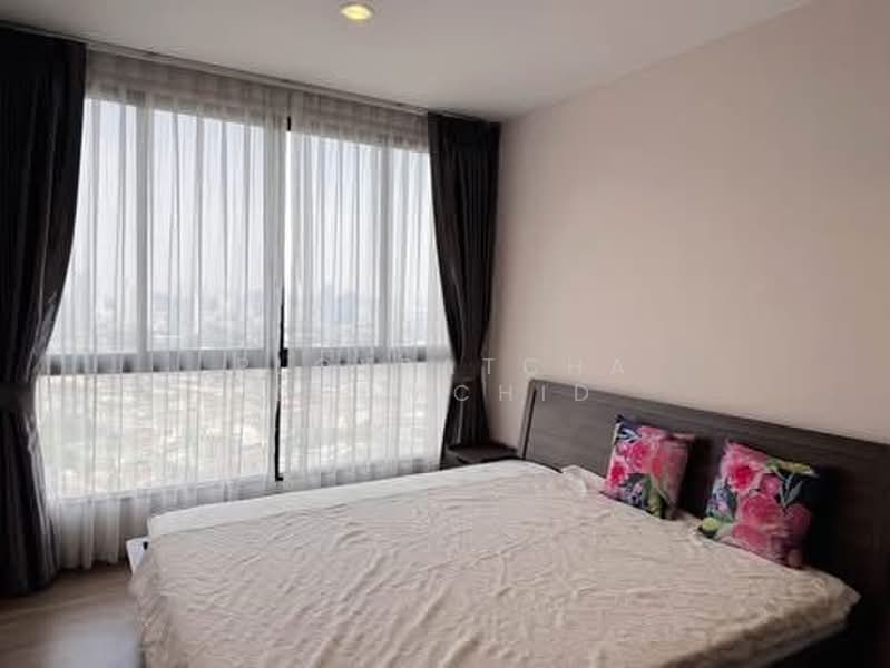 The Tree Interchange, Bangkok, Pracharat Sai 2 Road, Bang Sue, Bangkok, 2 Bedrooms, 64 sqm, Condo For Rent, by Ploypatcha Chomchid, 500448488 - DDproperty.com