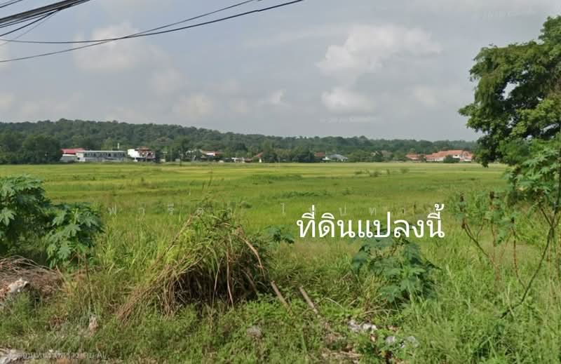 ขายที่ดินสระบุรี แปลงใหญ่ 35-0-62 ไร่ อำเภอเมือง ติดถนนพหลโยธิน, สระบุรี, พหลโยธิน, หนองยาว, เมืองสระบุรี, สระบุรี, 56,248 ตร.ม., ที่ดิน ขาย, โดย ฟารีดา ไทปทาน, 500448554 - DDproperty.com