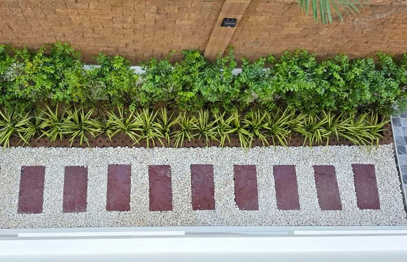 The plant Khathu, Phuket, , Kathu, Phuket, 3 Bedrooms, 240 sqm, Semi-Detached House (Twin House) For Sale, by Halemah Varerat, 500448572 - DDproperty.com