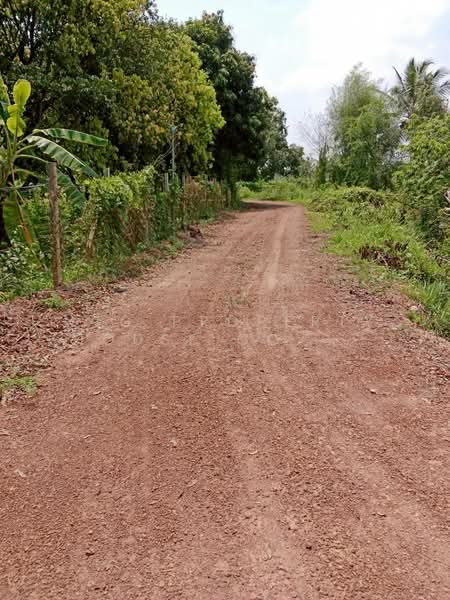 สวนมะยงชิดทูลเกล้า 10ปี เก็บเกี่ยวได้ทันที, Nakhon Nayok, Khok Kruat, Pak Phli, Nakhon Nayok, , 7,416 sqm, Land For Sale, by NTG Property House Co.,Ltd., 500448620 - DDproperty.com