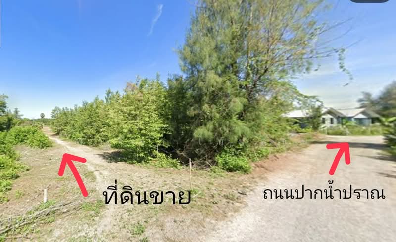 ขายที่ดินปราณบุรี ประจวบคีรีขันธ์ 2-0-85.4 ไร่ ถนนปากน้ำปราณ ใกล้ทะเล, ประจวบคีรีขันธ์, ปราณบุรี, ประจวบคีรีขันธ์, 3,542 ตร.ม., ที่ดิน ขาย, โดย ฟารีดา ไทปทาน, 500448632 - DDproperty.com