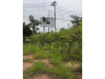ขาย - ที่ดินหน้า ม.จิรโชติ ต.ท่าทอง อ.เมืองพิษณุโลก จ.พิษณุโลก, พิษณุโลก