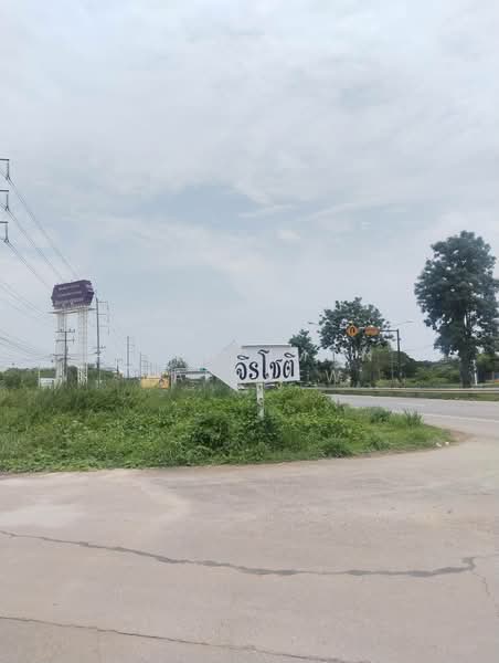ที่ดินหน้า ม.จิรโชติ ต.ท่าทอง อ.เมืองพิษณุโลก จ.พิษณุโลก, Phitsanulok, Tha-Thong, Muang Phitsanulok, Phitsanulok, , 4,000 sqm, Land For Sale, by Pornpimon Tapkaew, 500448652 - DDproperty.com