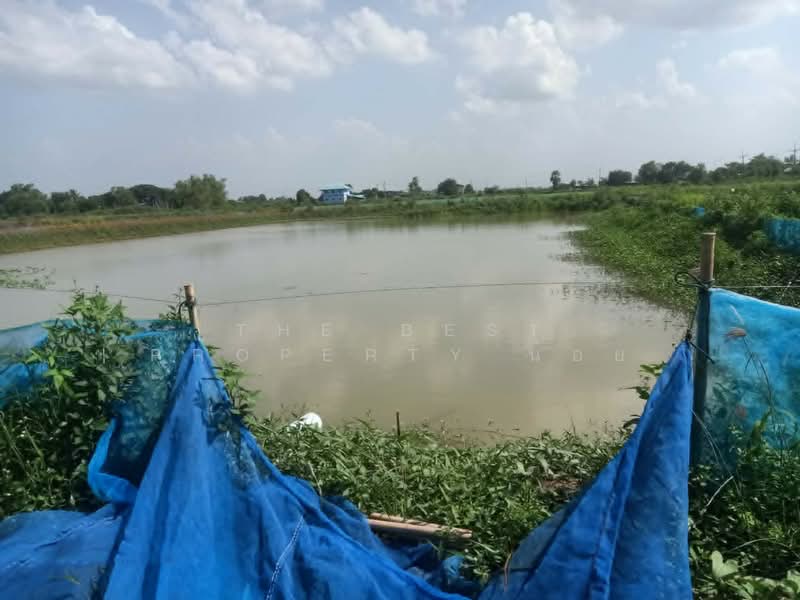 ที่ดินปากพลี นครนายก, Nakhon Nayok, Tha Rua, Pak Phli, Nakhon Nayok, , 12,636 sqm, Land For Sale, by The Best Property น้อย, 500448659 - DDproperty.com