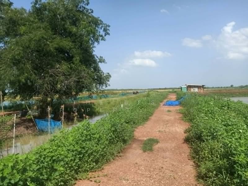 ที่ดินปากพลี นครนายก, Nakhon Nayok, Tha Rua, Pak Phli, Nakhon Nayok, , 12,636 sqm, Land For Sale, by The Best Property น้อย, 500448659 - DDproperty.com