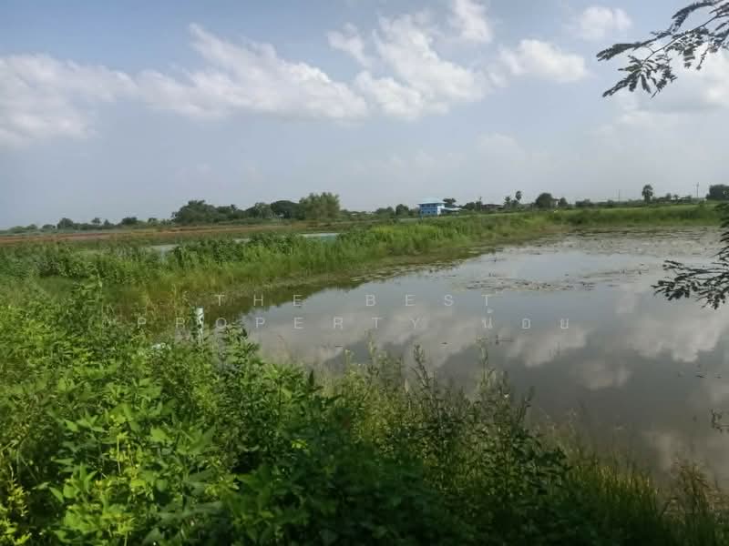 ที่ดินปากพลี นครนายก, นครนายก, ท่าเรือ, ปากพลี, นครนายก, 12,636 ตร.ม., ที่ดิน ขาย, โดย The Best Property น้อย, 500448659 - DDproperty.com