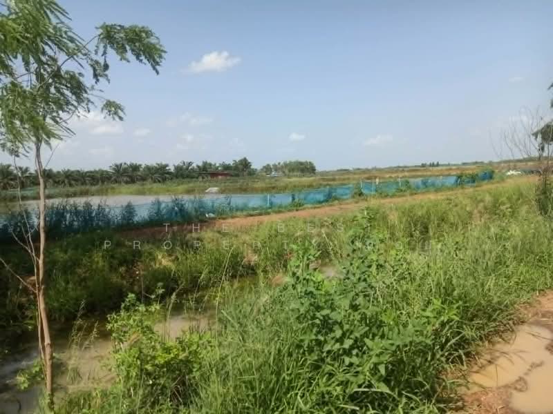 ที่ดินปากพลี นครนายก, Nakhon Nayok, Tha Rua, Pak Phli, Nakhon Nayok, , 12,636 sqm, Land For Sale, by The Best Property น้อย, 500448659 - DDproperty.com