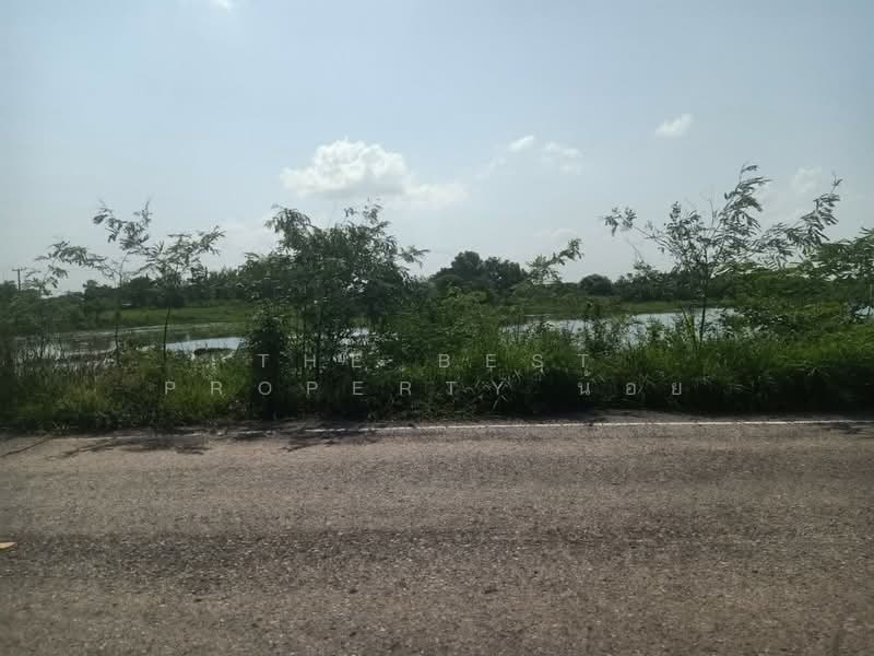 ที่ดินปากพลี นครนายก, นครนายก, ท่าเรือ, ปากพลี, นครนายก, 12,636 ตร.ม., ที่ดิน ขาย, โดย The Best Property น้อย, 500448659 - DDproperty.com