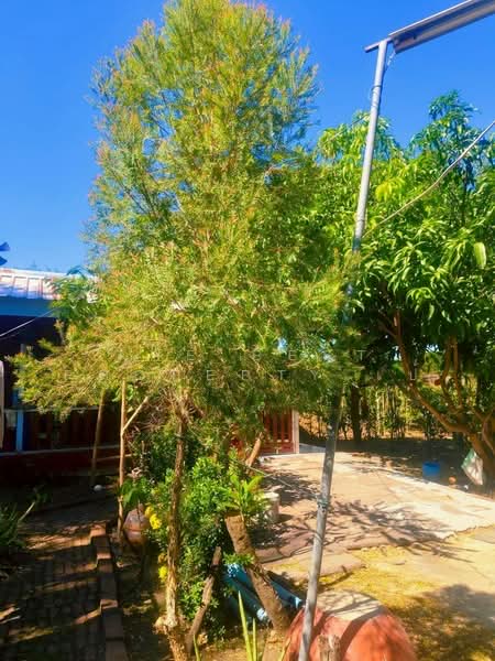 ที่ดินบ้านหมอ สระบุรี, Saraburi, Nong Bua, Ban Mo, Saraburi, , 3,983 sqm, Land For Sale, by The Best Property เป้, 500448662 - DDproperty.com