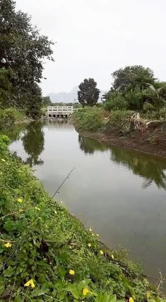 ที่ดินบ้านหมอ สระบุรี, Saraburi, Nong Bua, Ban Mo, Saraburi, , 3,983 sqm, Land For Sale, by The Best Property เป้, 500448662 - DDproperty.com