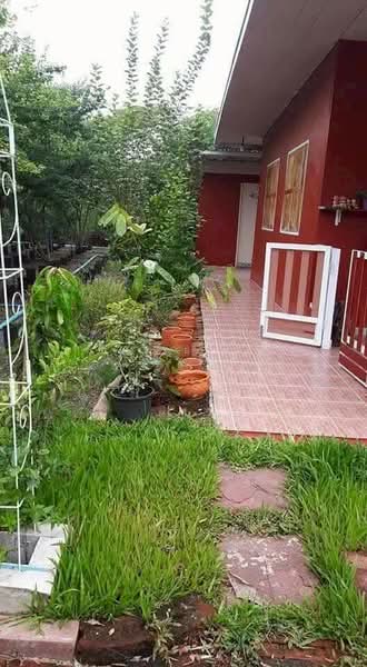 ที่ดินบ้านหมอ สระบุรี, สระบุรี, หนองบัว, บ้านหมอ, สระบุรี, 3,983 ตร.ม., ที่ดิน ขาย, โดย The Best Property เป้, 500448662 - DDproperty.com
