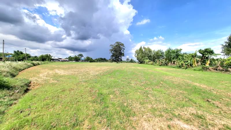 ที่ดินธวัชบุรี ร้อยเอ็ด, ร้อยเอ็ด, หนองไผ่, ธวัชบุรี, ร้อยเอ็ด, 7,920 ตร.ม., ที่ดิน ขาย, โดย The Best Property ทองใบ, 500448671 - DDproperty.com