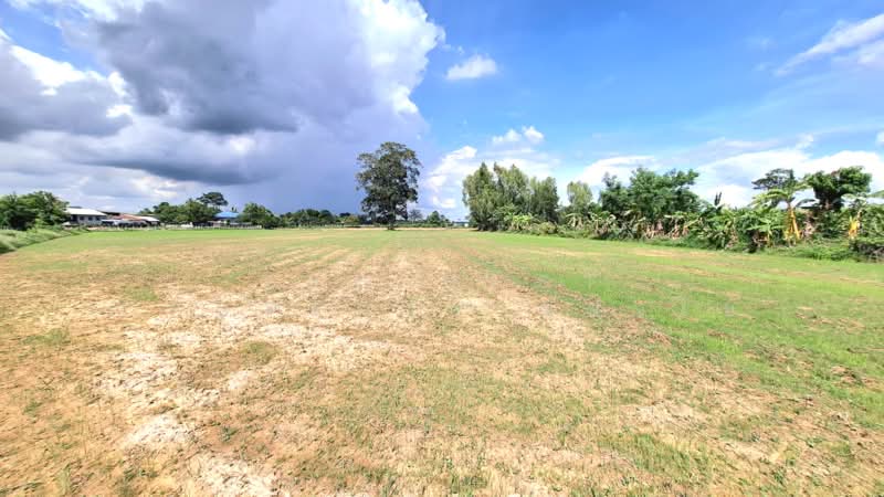 ที่ดินธวัชบุรี ร้อยเอ็ด, Roi Et, Nong Phai, Thawat Buri, Roi Et, , 7,920 sqm, Land For Sale, by The Best Property ทองใบ, 500448671 - DDproperty.com