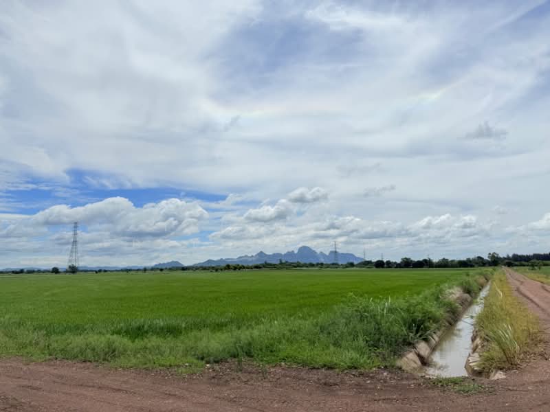 ที่ดินบ้านหมอ สระบุรี, สระบุรี, ตลาดน้อย, บ้านหมอ, สระบุรี, 32,008 ตร.ม., ที่ดิน ขาย, โดย The Best Property แอม, 500448677 - DDproperty.com