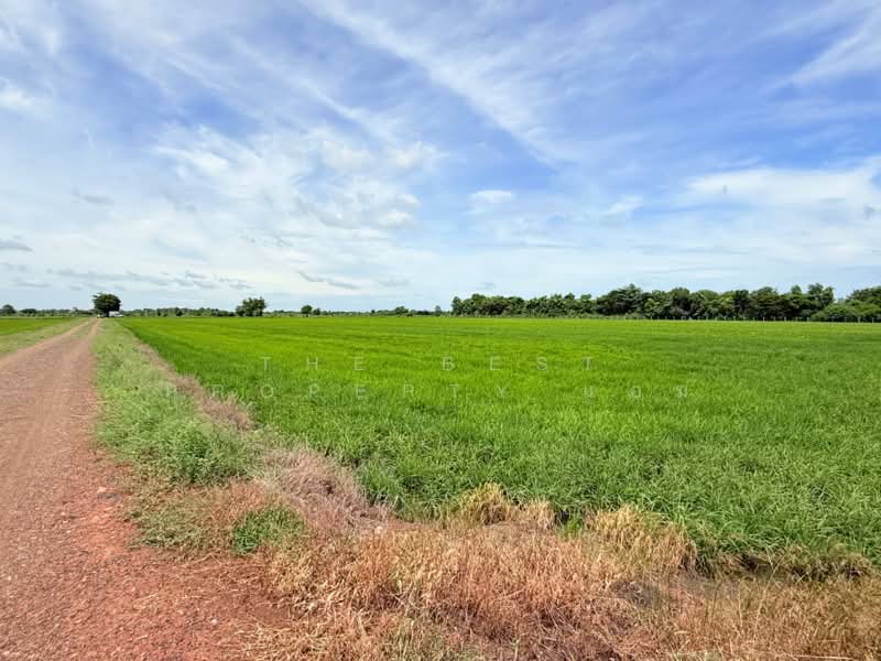 ที่ดินบ้านหมอ สระบุรี, Saraburi, Talat Noi, Ban Mo, Saraburi, , 9,600 sqm, Land For Sale, by The Best Property แอม, 500448679 - DDproperty.com