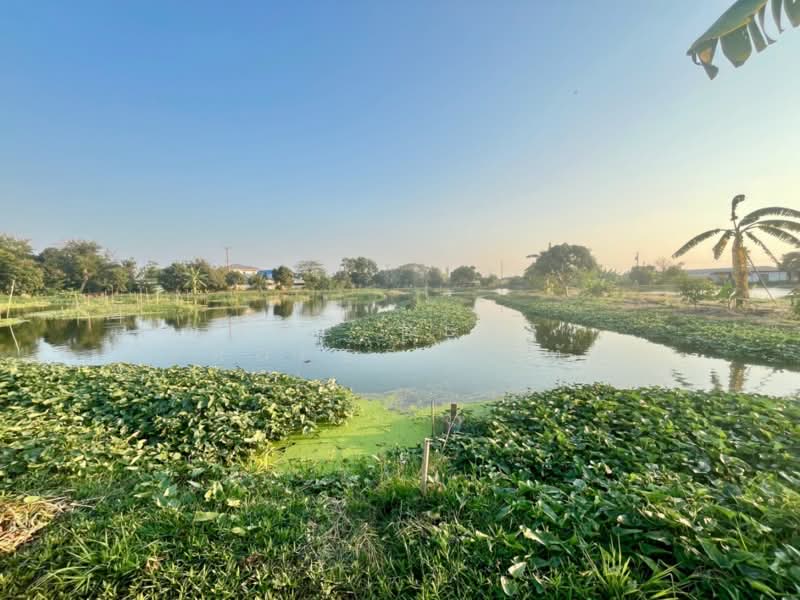 ที่ดินแพรกษา สมุทรปราการ, Samut Prakan, Phraeksa, Muang Samut Prakarn, Samut Prakan, , 12,762 sqm, Land For Sale, by The Best Property ทัศ, 500448688 - DDproperty.com